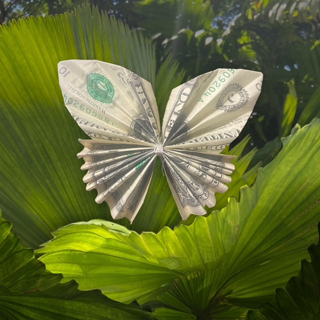 Open Butterfly - Add $15