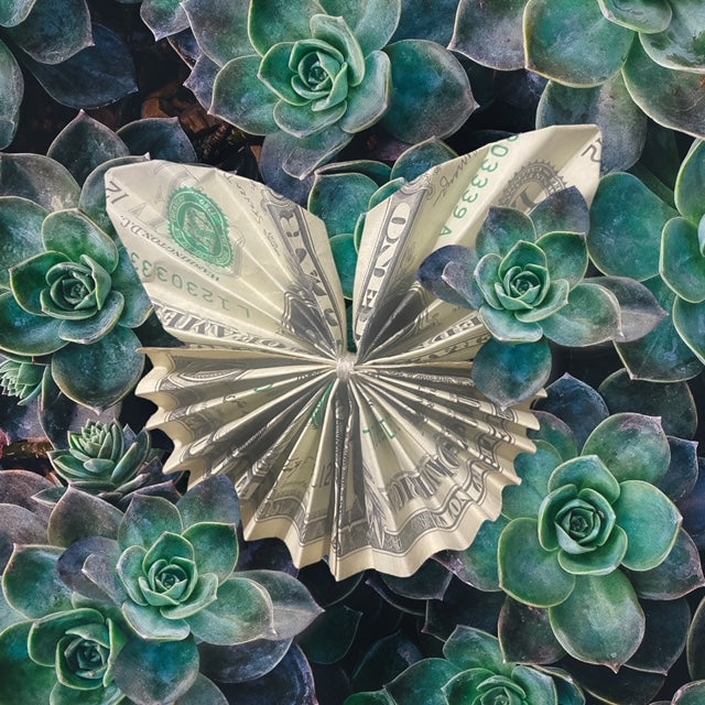 Closed Butterfly- Add $25
